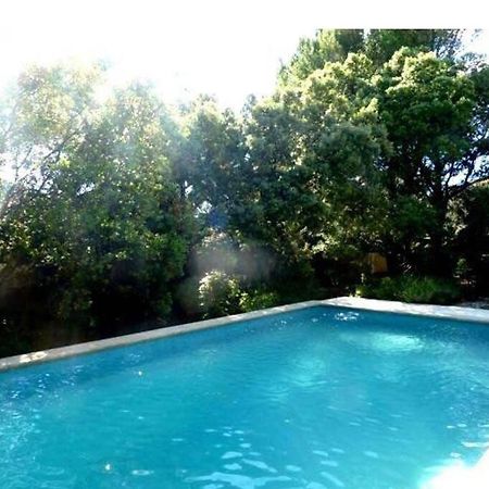 Studio En Rez-De-Jardin Arbore Avec Acces Piscine Et Clim Villeneuve-les-Avignon Exterior photo