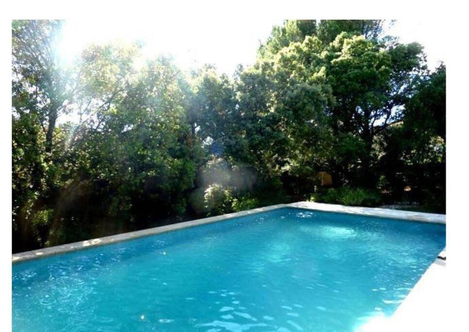 Studio En Rez-De-Jardin Arbore Avec Acces Piscine Et Clim Villeneuve-les-Avignon Exterior photo